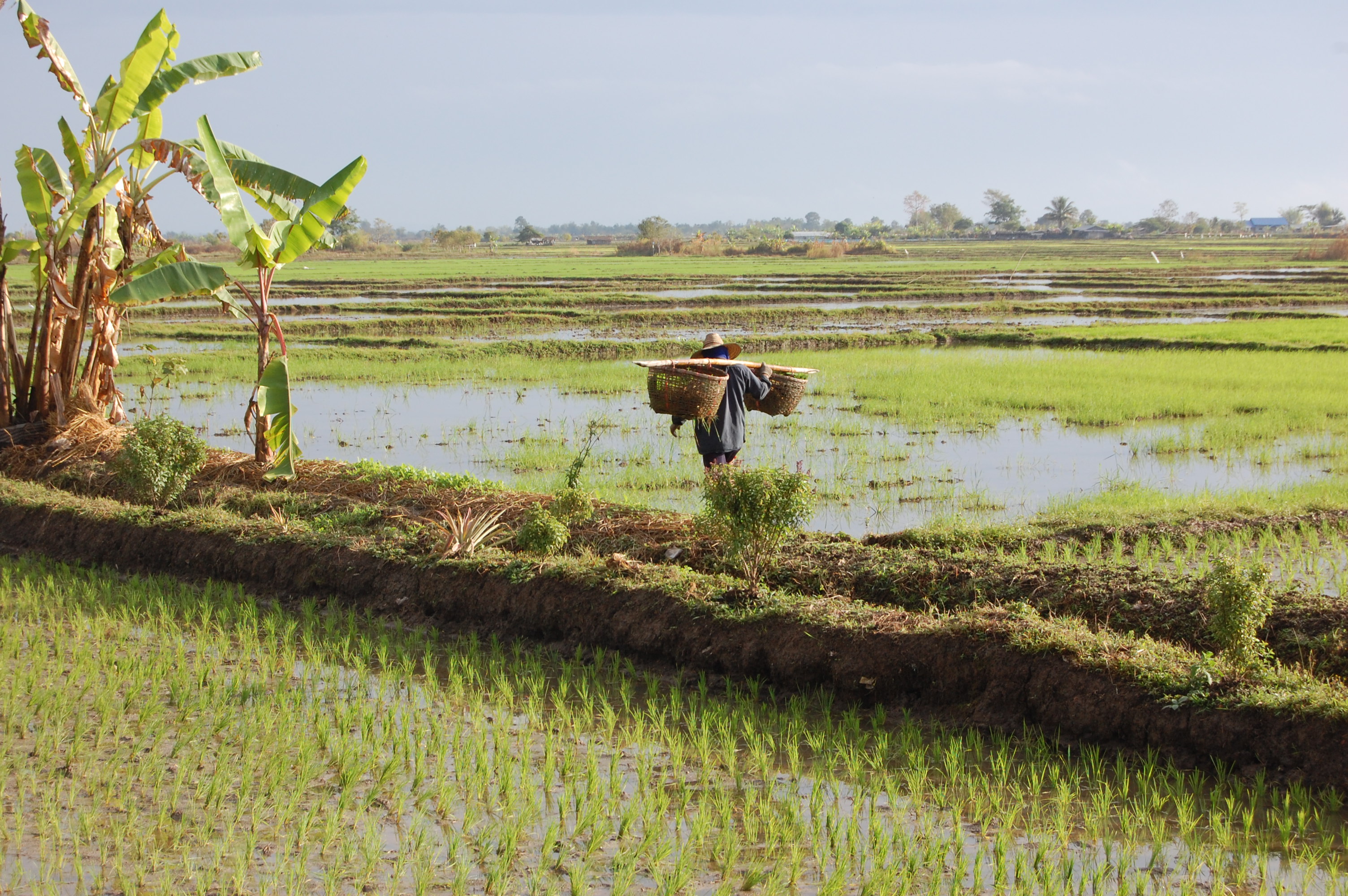 Thailand: Golden Triangle - Rudy Maxa's World